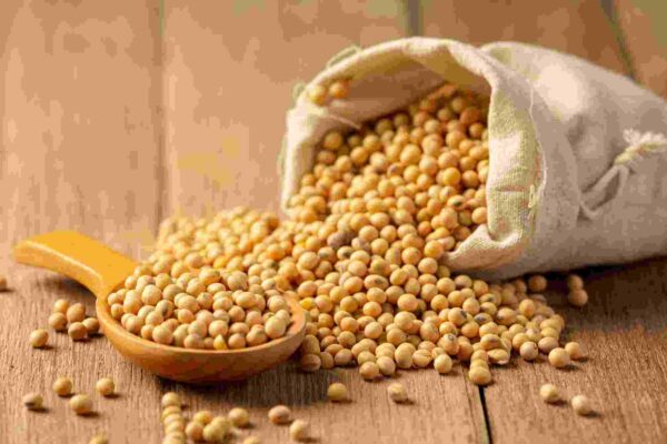Roasted Soybean Benefits